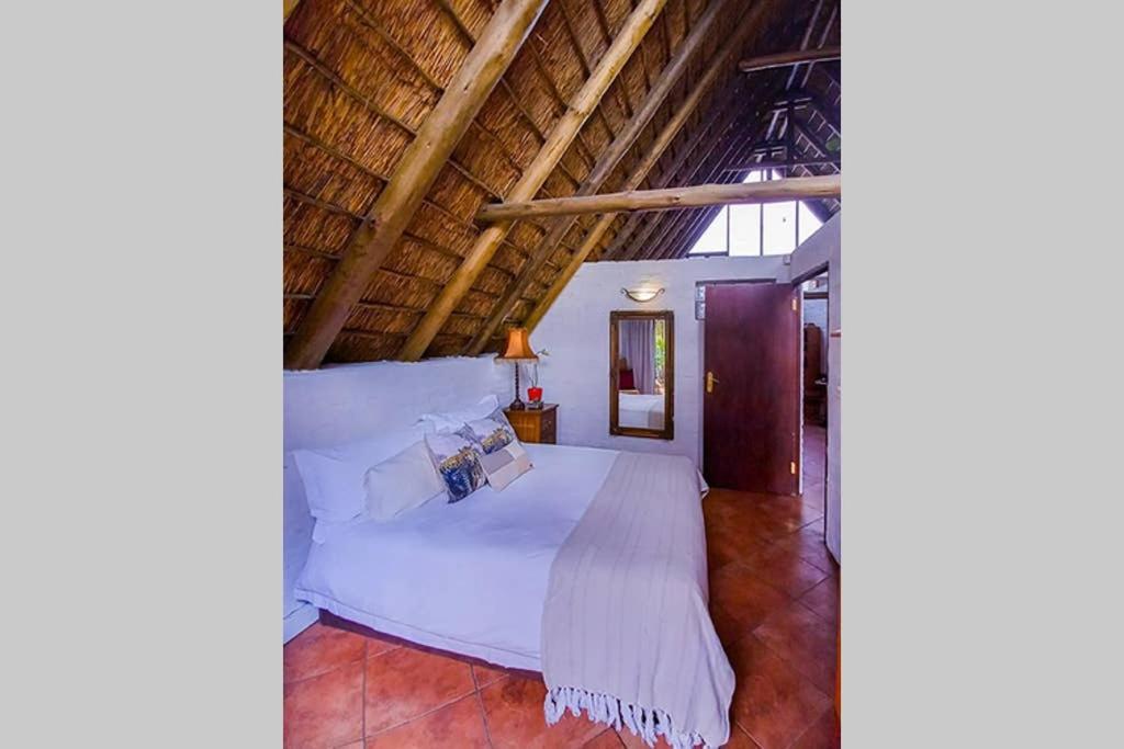 Pantera Lodge & Cheetah Cottage Johannesburg Exterior foto